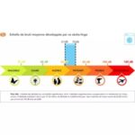 Sèche linge à condensation MIELE T 8822 C Reconditionné – Image 5