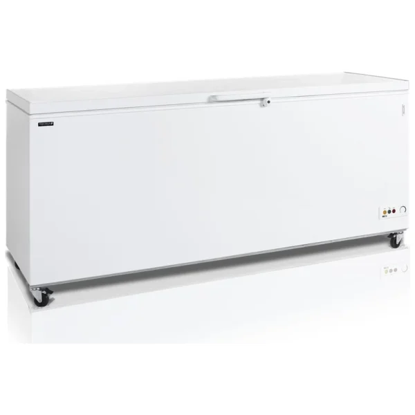 Congélateur pro TEFCOLD 16162