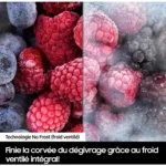 Congélateur encastrable SAMSUNG BRZ22600EWW/EF – Image 6