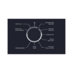 Four encastrable SAUTER SOP6204LB – Image 10