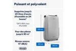 Déshumidificateur Delonghi DDSX220 – Image 2